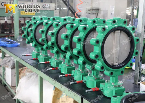 What are the types of lug butterfly valve?
